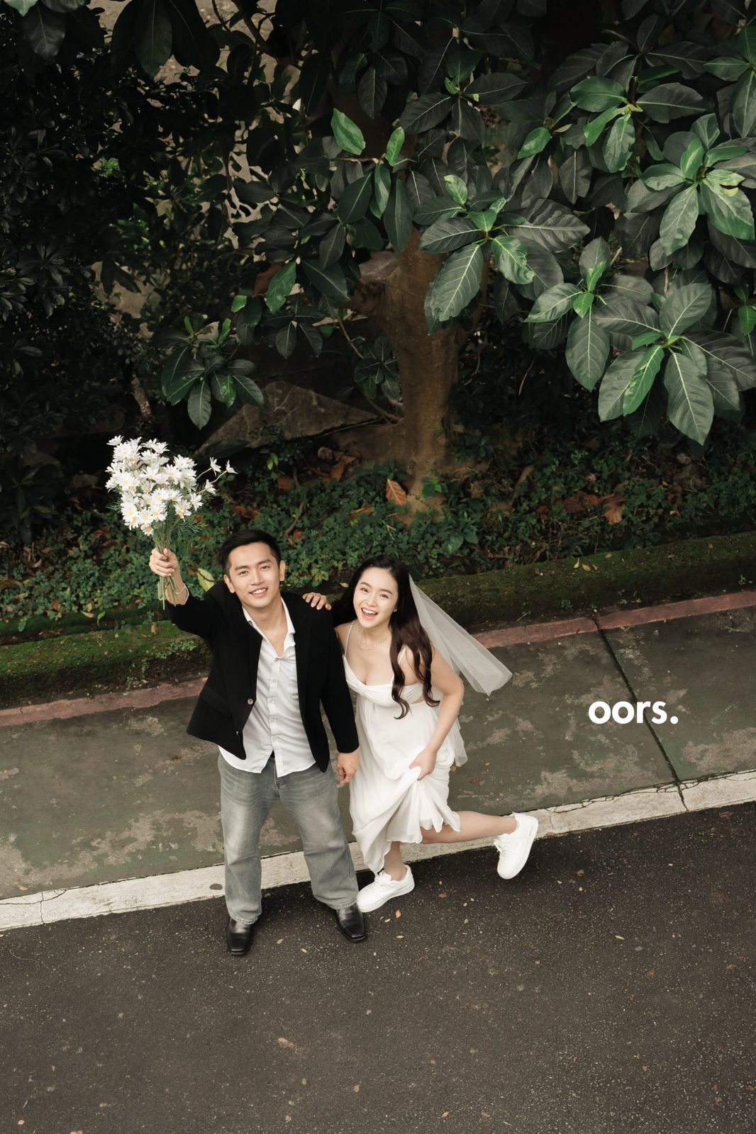 A bird's-eye view of the couple under a tree, daisies raised